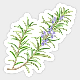 Aromatic Rosemary Herb Sticker